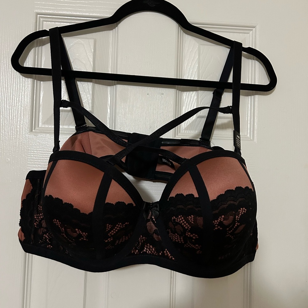 44B multi-way strap/strapless torrid bra